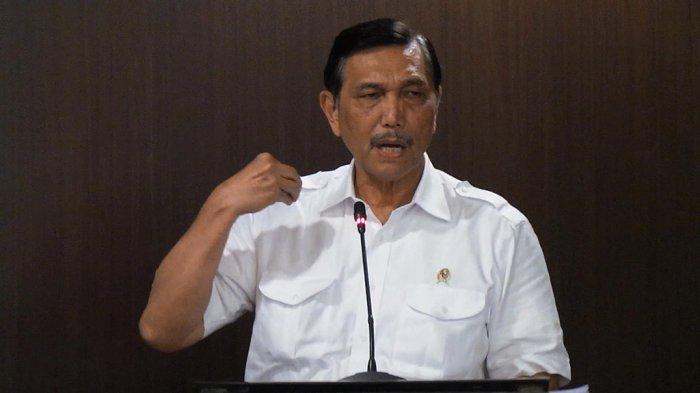 Luhut Sebut RI Mau Jadi Ketua Satgas Hilirisasi Rumput Laut Dunia